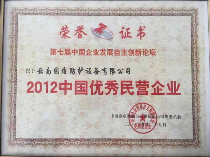 中国优秀民营企业