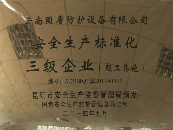 安全生产标准化三级企业